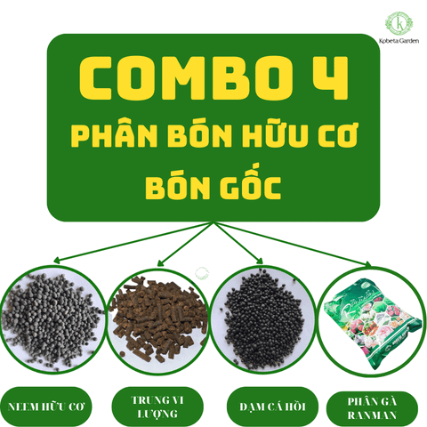 Combo 4 Phân bón hữu cơ bón gốc