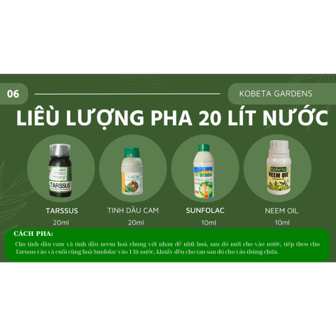 Combo 4 hữu cơ phòng bệnh