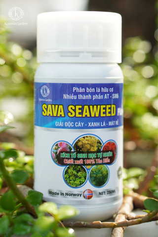 SAVA SEAWEED Plus - Phân bón lá hữu cơ