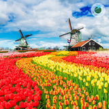  Tour Pháp-Bỉ-Hà Lan-Luxembourg-Đức 9N8Đ 