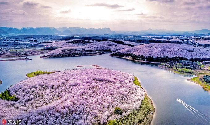  [Tour Trung Quốc] Nam Ninh-Quý Dương-Bình Bạ(Vạn mẫu Hoa Đào)-Thanh Nham Cổ Trấn-Giáp Tú Lầu-Tây Phổ Đà 4N3Đ 