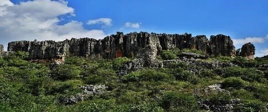  [Tour Trung Quốc] Hà Khẩu-Thạch Lâm-Côn Minh-Rừng hoa Anh Đào Nghi Lương-Kiến Thủy-Mông Tự 5N4Đ 