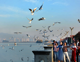 [Tour Trung Quốc] Hà Khẩu-Đại Lý-Lệ Giang-Núi tuyết Ngọc Long 6N5Đ 