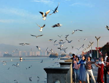  [Tour Trung Quốc] Hà Khẩu-Đại Lý-Lệ Giang-Núi tuyết Ngọc Long 6N5Đ 