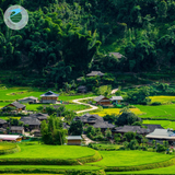  HÀ NỘI - MÙ CANG CHẢI MÙA LÚA CHÍN 2N1Đ 