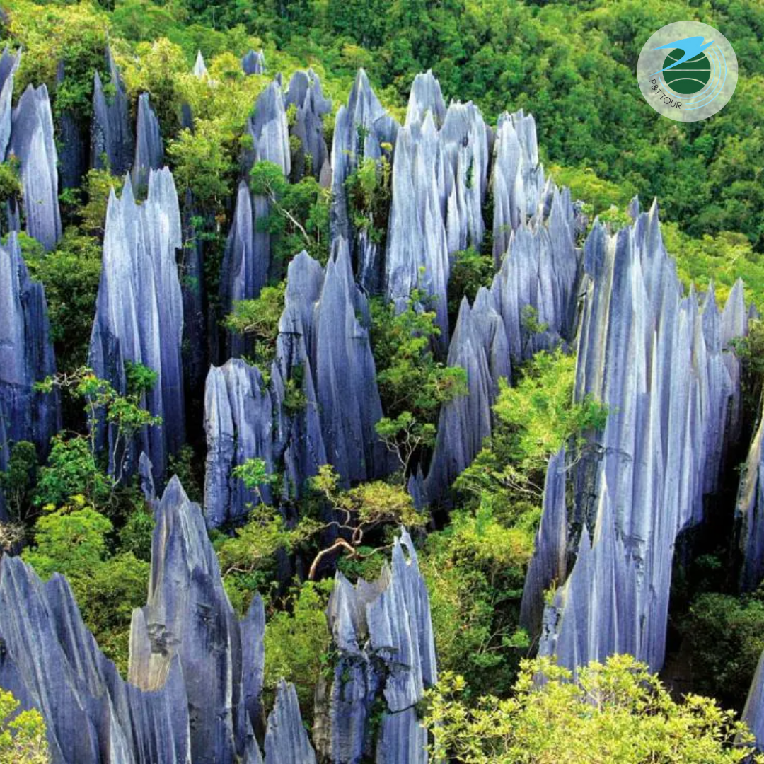  TOUR HÀ KHẨU – THẠCH LÂM – TẦM ĐIỆN  – CÔN MINH – KIỆU TỬ SƠN – KIẾN THUỶ - MÔNG TỰ 