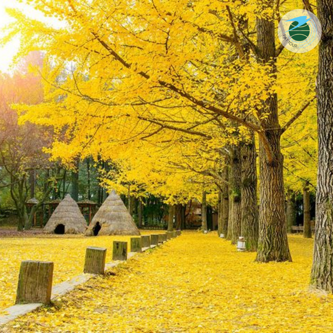  TOUR SEOUL -  NAMI - LOTTE WORLD – STARFIELD LIBRARY  – NAMSAN TOWER 