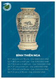  Bình Thiên Nga 