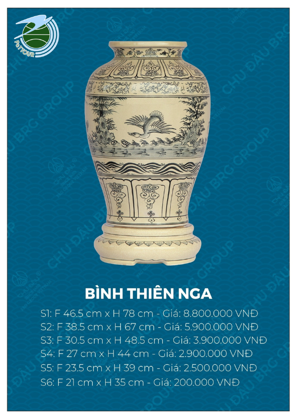 Bình Thiên Nga 