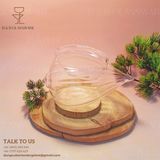  Ly Cocktail Sea Shell 