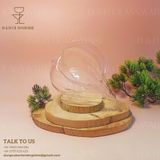  Ly Cocktail Sea Shell 