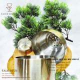  Shaker Cobler Dirty Gold Màu Vàng Cổ 