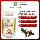  ENERNOI - Viên Năng Lượng 