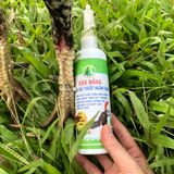  CÁN ĐỒNG - Thay bài thuốc ngâm chân Ba Bảo Bình Định 