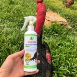  Nghệ Đòn Gà Chọi Ba Bảo Bình Định 