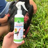  DA SẠCH  Vệ sinh gà chọi Ba Bảo Bình Định 