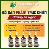  Tăng lực gà chọi - gà đá 