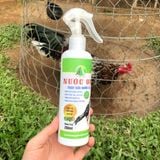  Chai Nước Om Ba Bảo Bình Định 