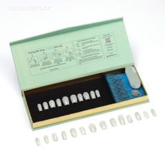 Móng Dán NailStik NST2DV077DCF