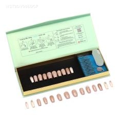 Móng Dán NailStik NST2DV086DCF