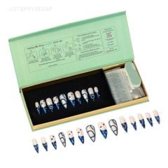 Móng Dán NailStik NST2PV108DBF