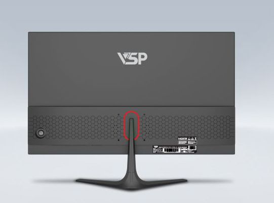 Màn hình VSP IP2510W2 25