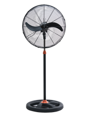 QUẠT ĐỨNG CN ASIAVINA - ĐEN(D24001-DV0)