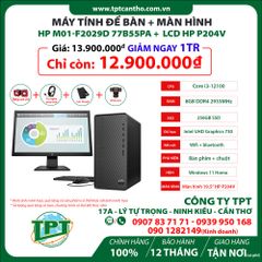 Máy tính để bàn HP M01-F2029D 77B55PA + Màn hình 19.5inch HP P204V