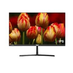 Màn hình VSP IP2407S (23.8 inch - IPS - FHD - 100Hz - 5ms - VGA - HDMI)