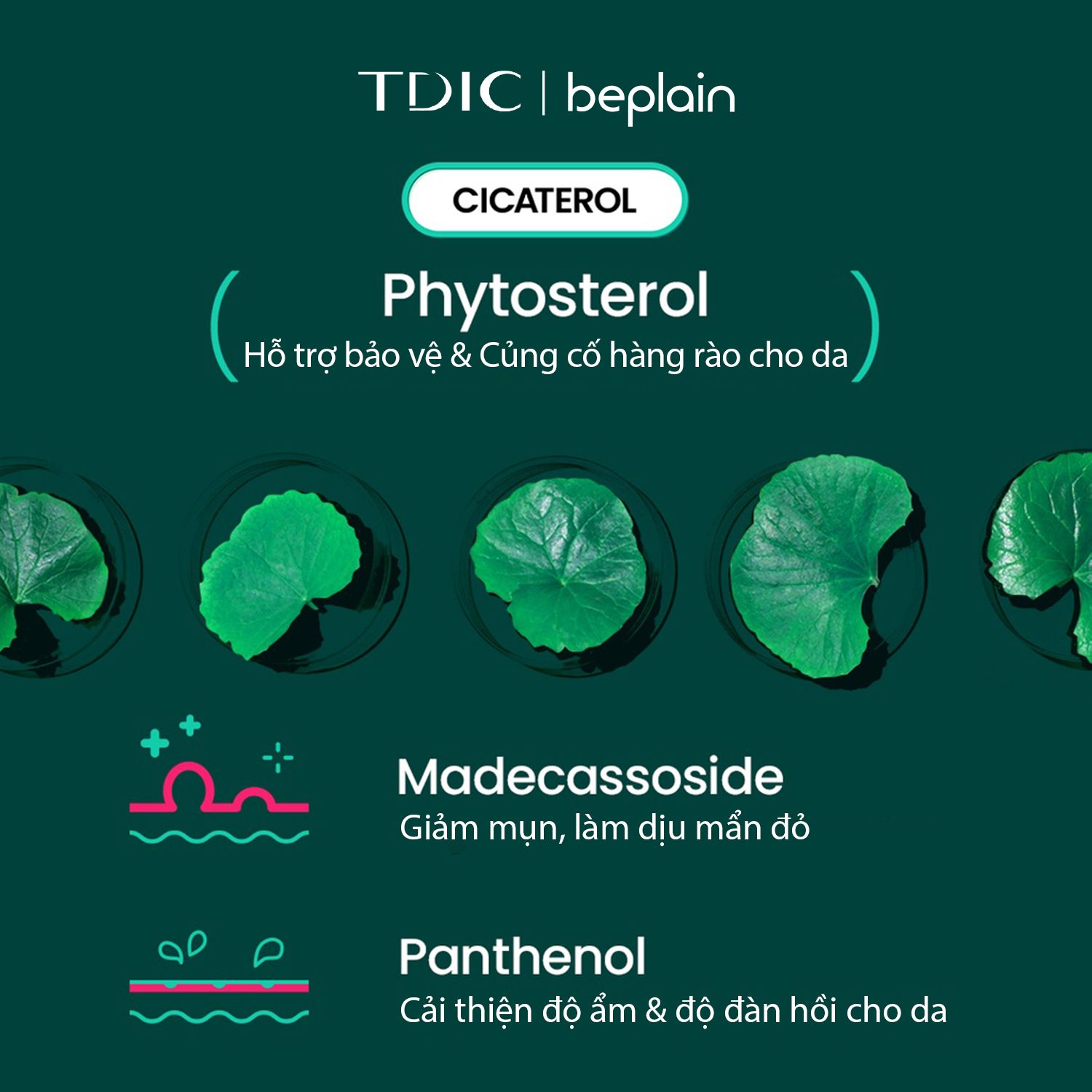  Tinh chất Làm Dịu Da BEPLAIN Cicaterol Ampoule 30ml 