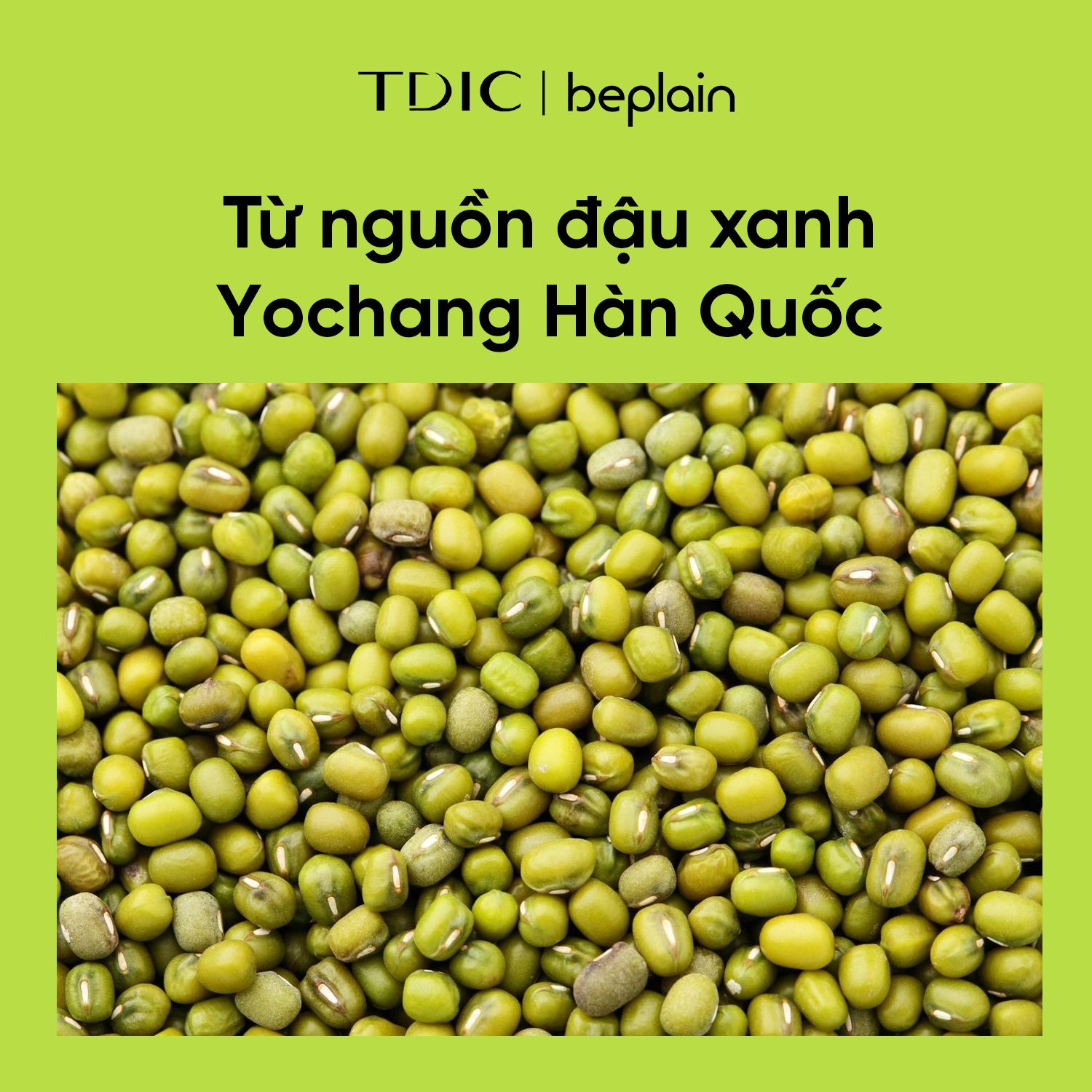  Mặt Nạ Đất Sét Sạch Sâu, Giảm Mụn Đầu Đen BEPLAIN Mung Bean Pore Clay Mask 120ml 