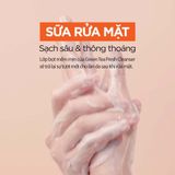  Sữa rửa mặt Trà Xanh làm sạch và kiểm soát bã nhờn Isntree Green Tea Fresh Cleanser 120ml 