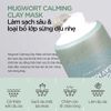  Mặt nạ đất sét Ngải Cứu làm sạch bã nhờn Isntree Mugwort Calming Clay Mask 100ml 