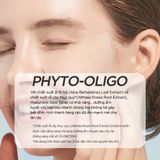  Nước hoa hồng cấp ẩm chuyên sâu Isntree Hyaluronic Acid Toner 200ml 