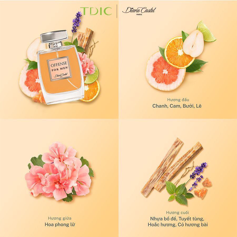  Diane Castel Paris Offense For Men Paris EDP 100ml 