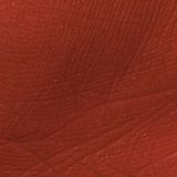  Lemonade Son kem Supermeow Lip Cream # 02. Rubbing 