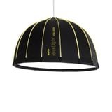  NiceFoto Umbrella DL120-3000A Deep Polishing DL Series Dual Color Temperature 