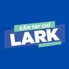 Dịch vụ Triển khai Larksuite