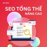  Dịch Vụ SEO Tổng Thể Chuyên Nghiệp 