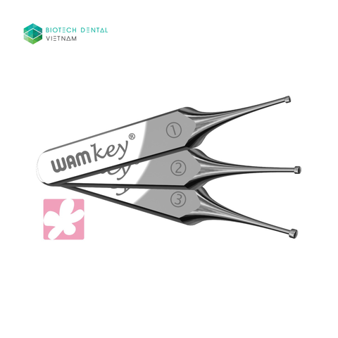  WAMKEY CROWN AND BRIDGE REMOVER 