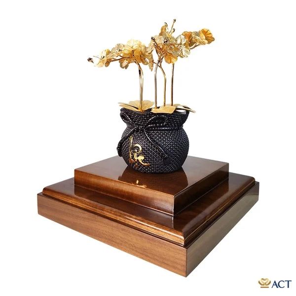 Hình ảnh bài viết