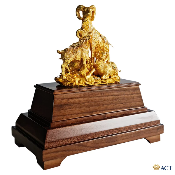 Hình ảnh bài viết