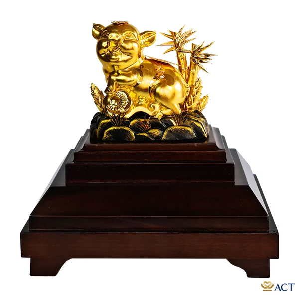 Hình ảnh bài viết