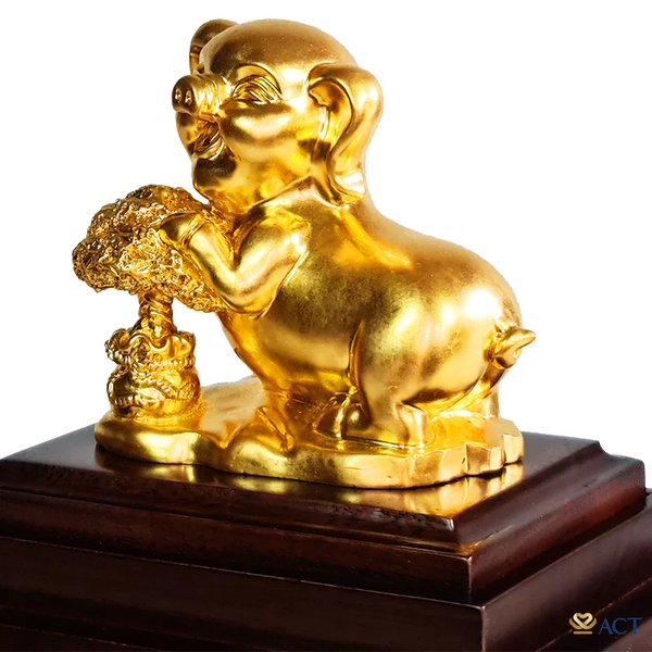 Hình ảnh bài viết