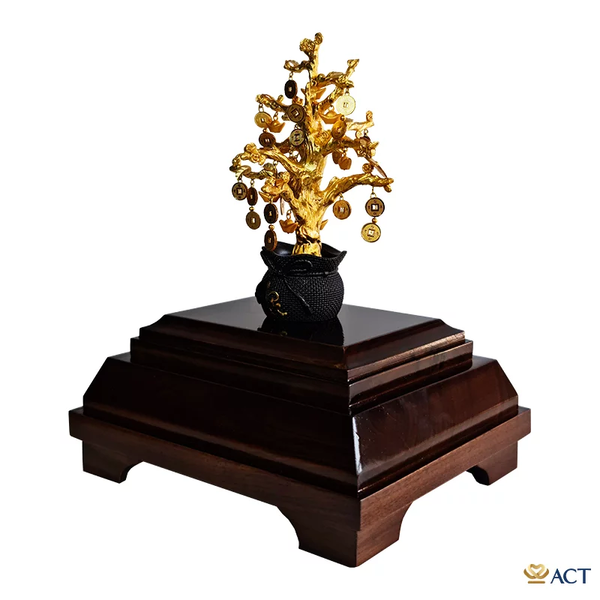 Hình ảnh bài viết