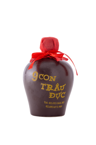 Mẫu Sơn Đỉnh 9 Trâu