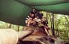 Cu Chi Tunnels & Ho Chi Minh (Private Tour)