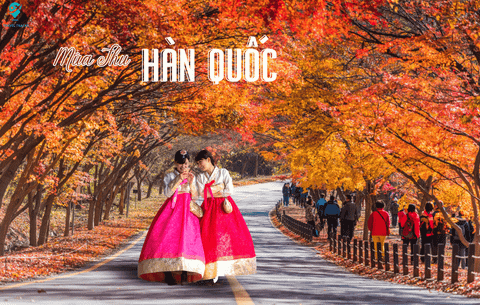 Hàn Quốc - Mùa Thu