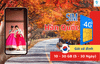 Sim 4G Hàn Quốc - Gói cố định 10-30 GB / 5-30 Ngày