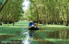 Mekong delta (Private Tour - 3days)
